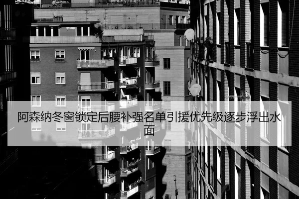 阿森纳冬窗锁定后腰补强名单引援优先级逐步浮出水面